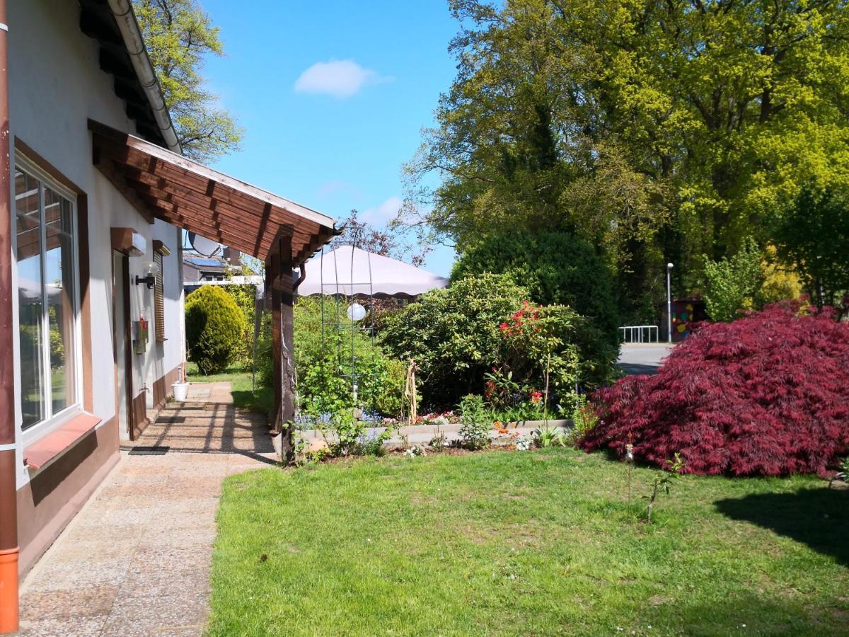 Künstler Ferienwohnung 3 Zimmer Küche Bad zentrale Lage Wulsbuttel Exterior foto